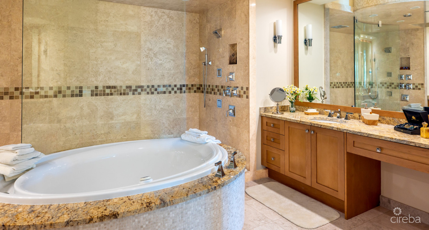 Watercolours - A Magnificent Grand Residence