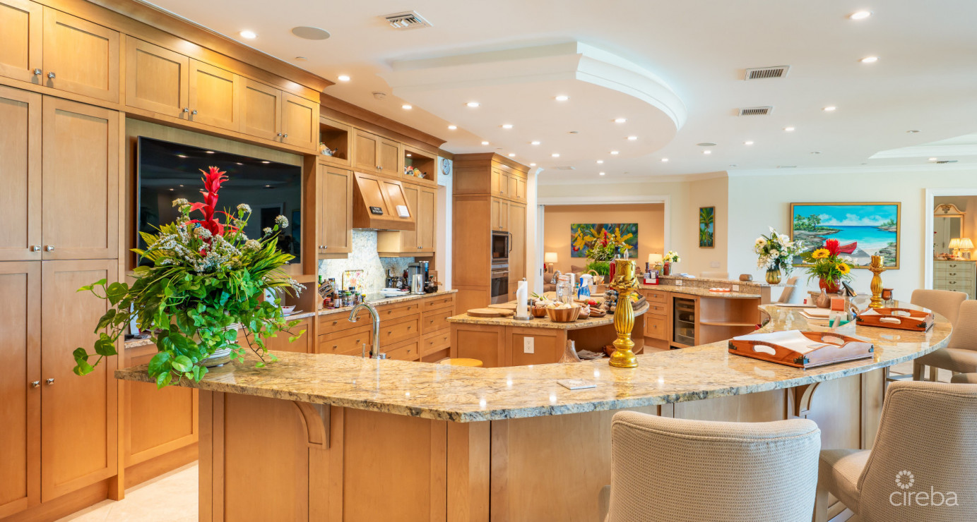 Watercolours - A Magnificent Grand Residence