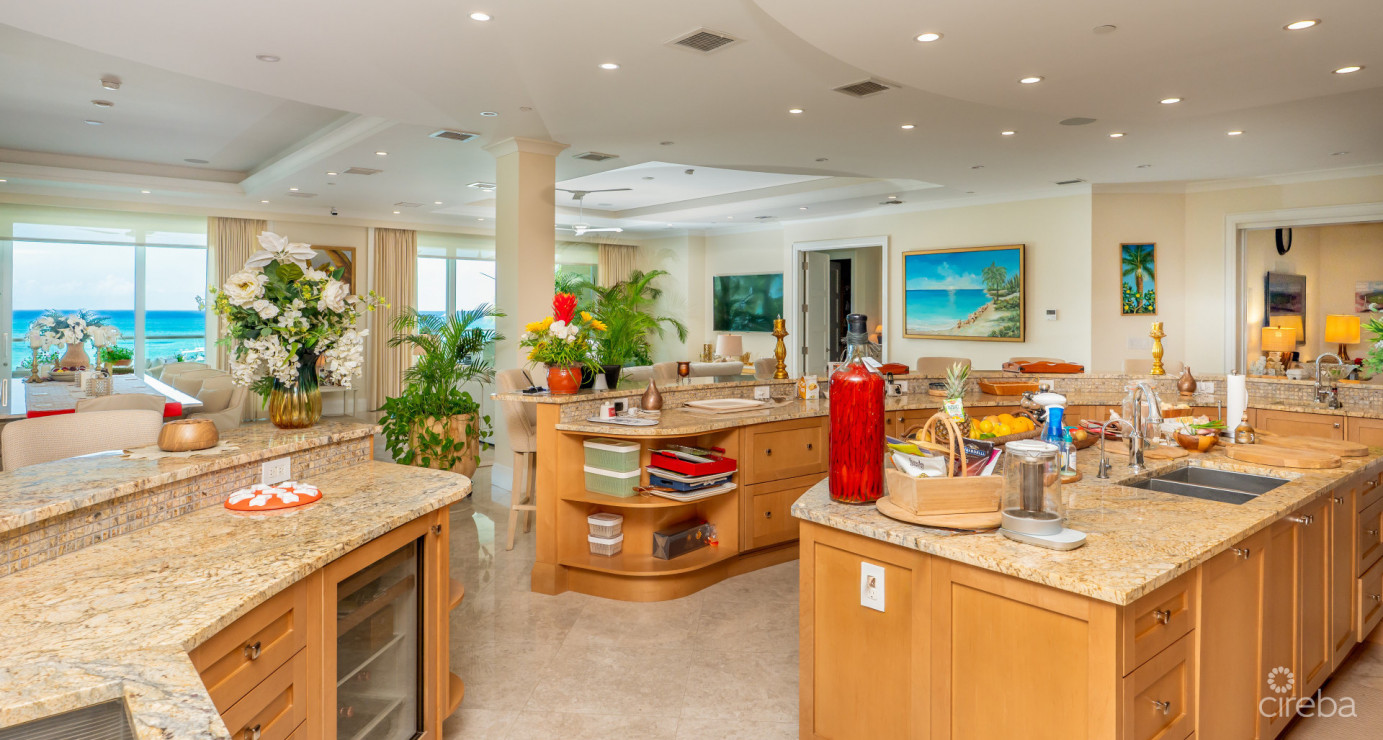 Watercolours - A Magnificent Grand Residence