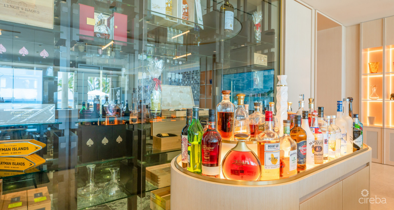 Watercolours - A Magnificent Grand Residence