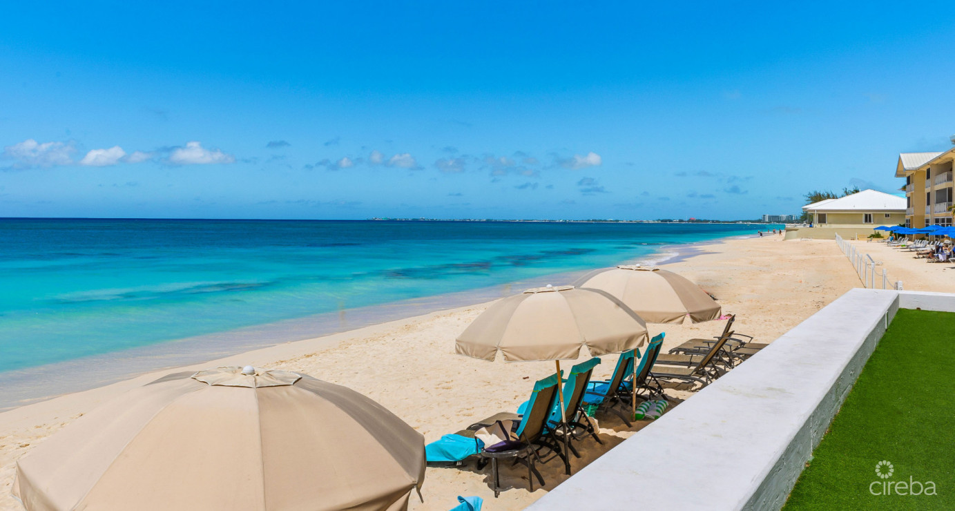 Regal Beach Club  523