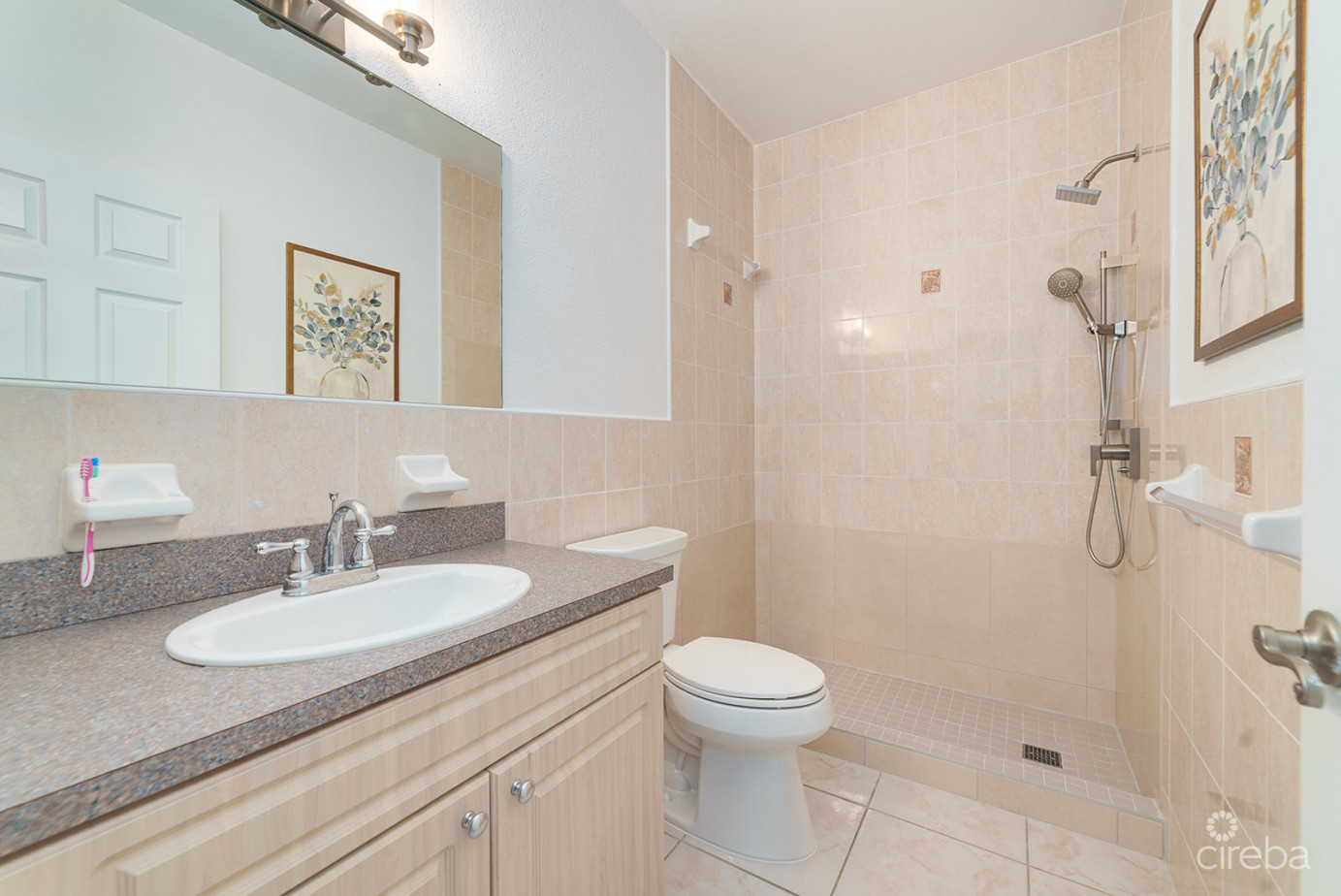 Fully Remodeled 3 Bedroom Townhome In Park Trace