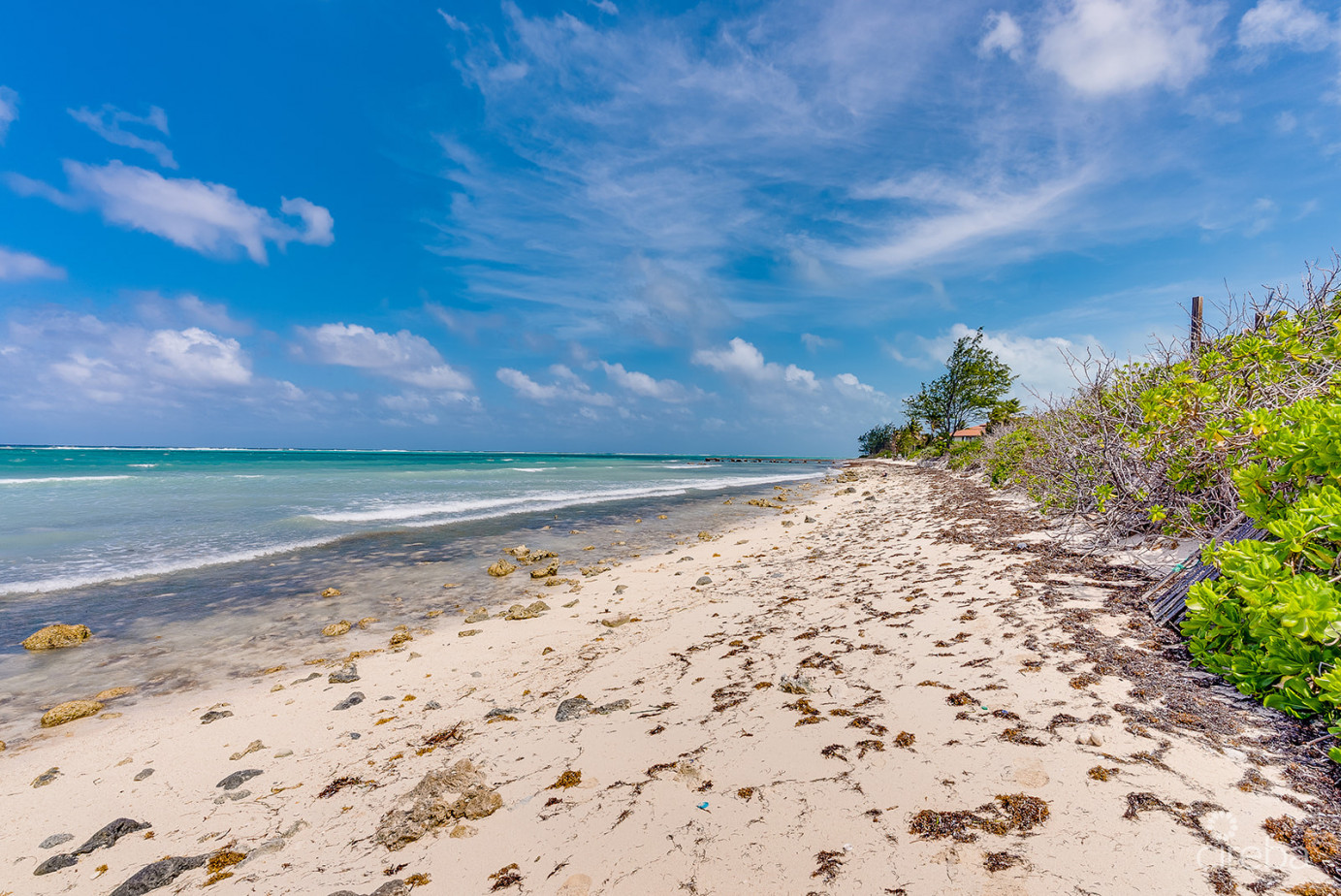 Vida Two Bedroom Penthouse