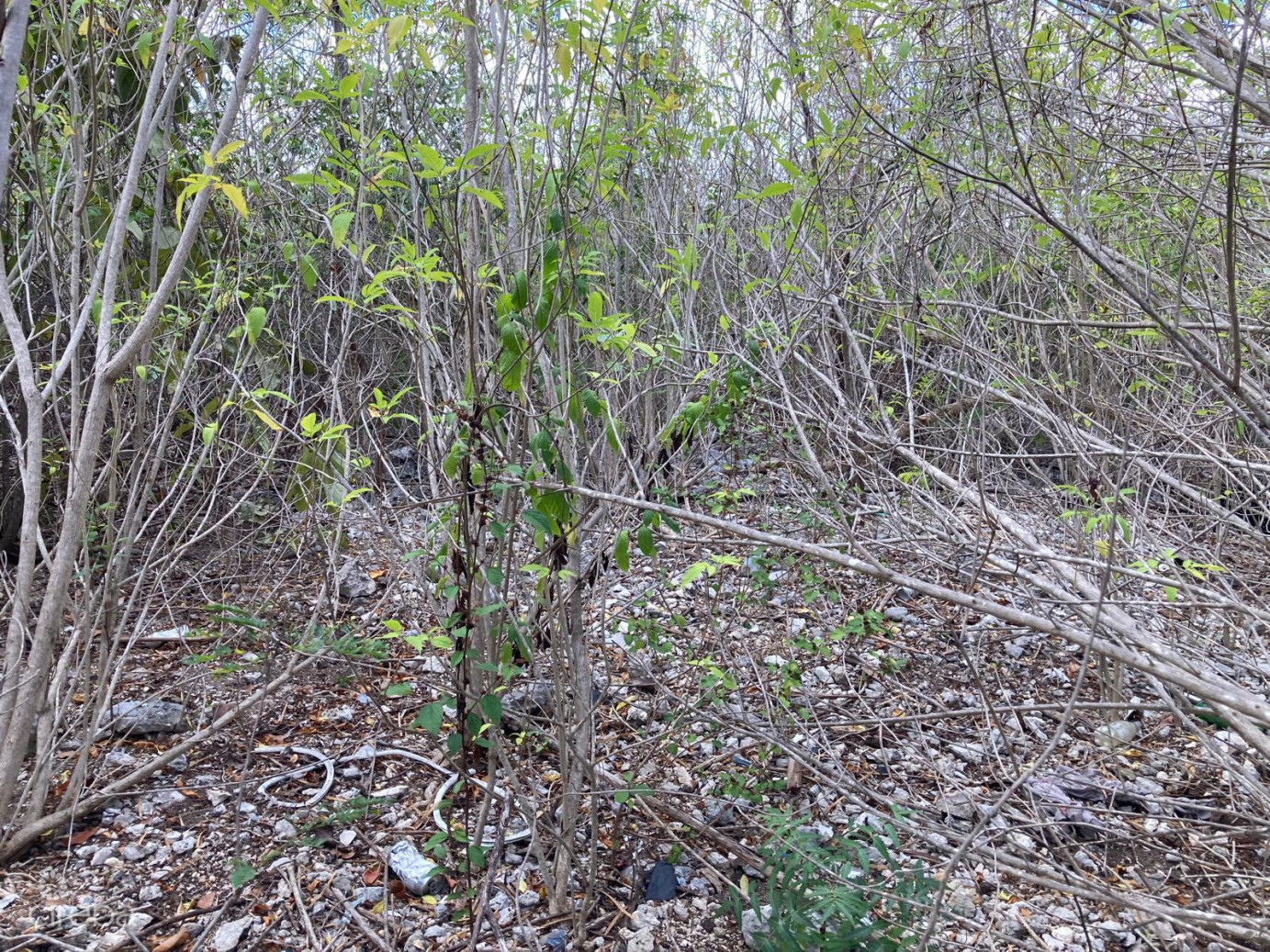 East End Land 0.45 Acres In John Mclean Drive