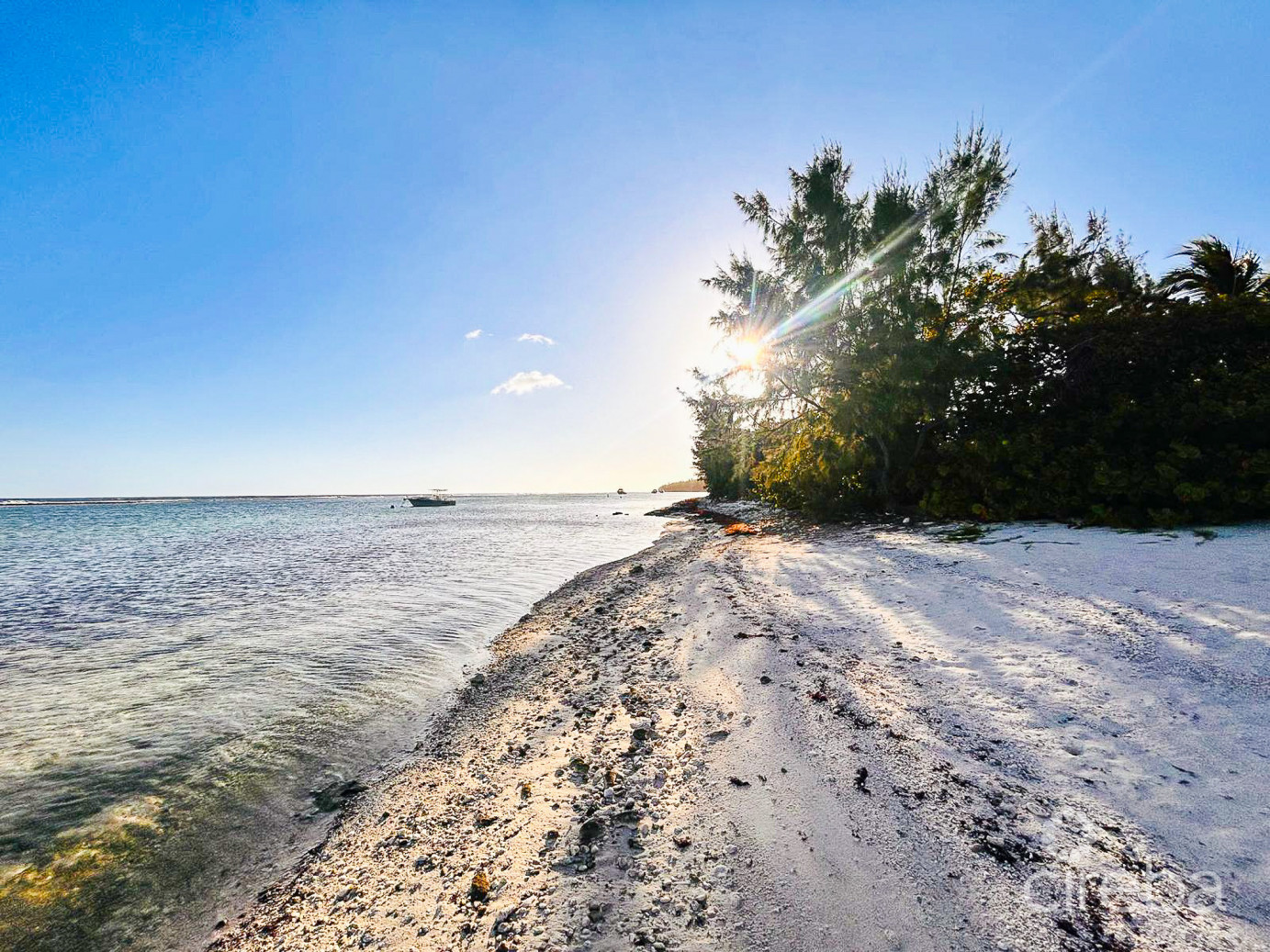 Carib Sands Oceanfront Condo