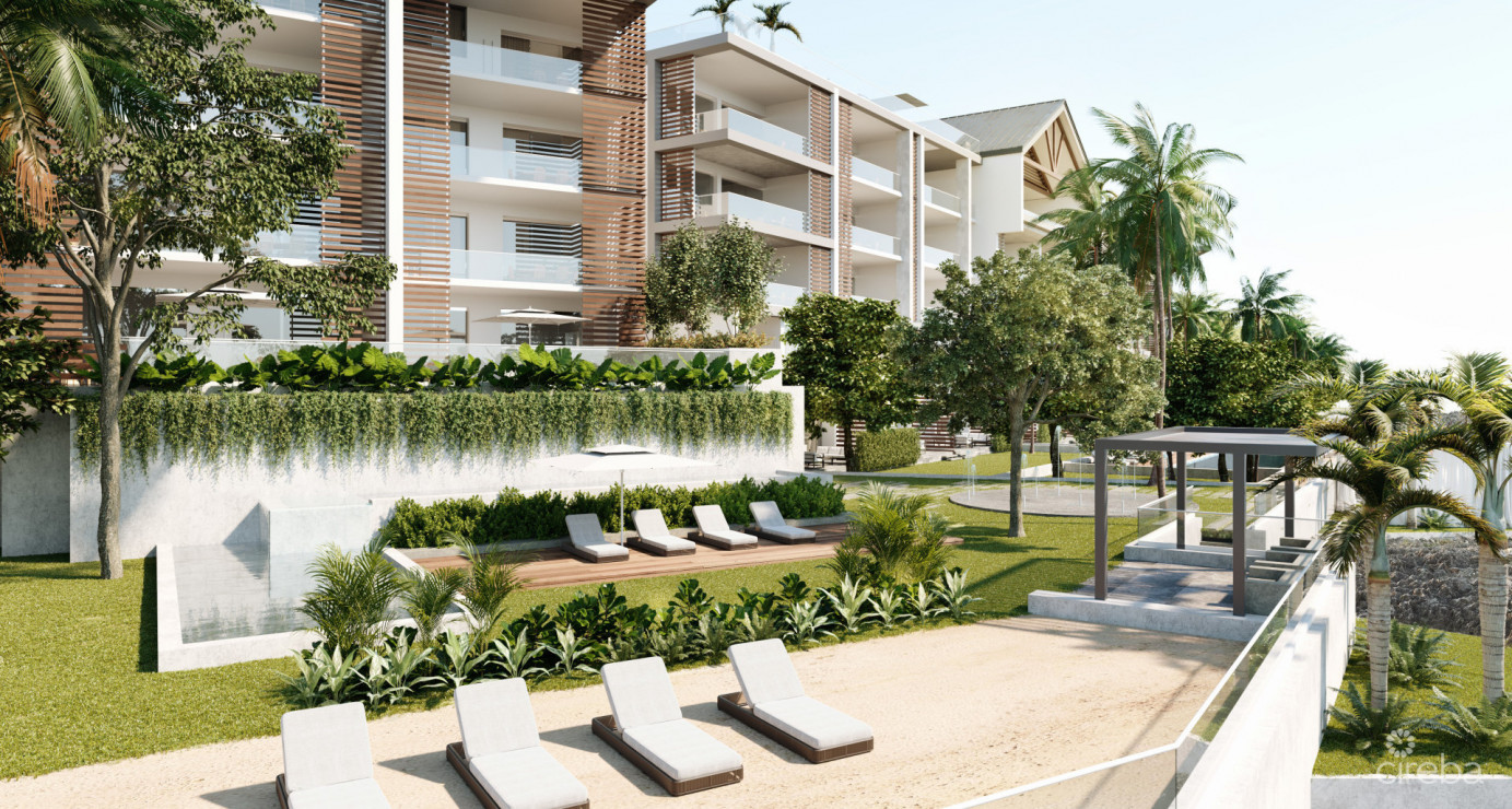 Dolphin Point Club 210  2 Bed 2.5 Bath  Elevated Seafront Living