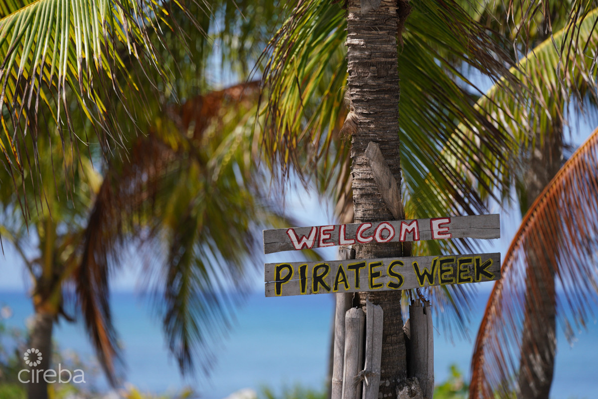 Oceanfront Large Land Parcel