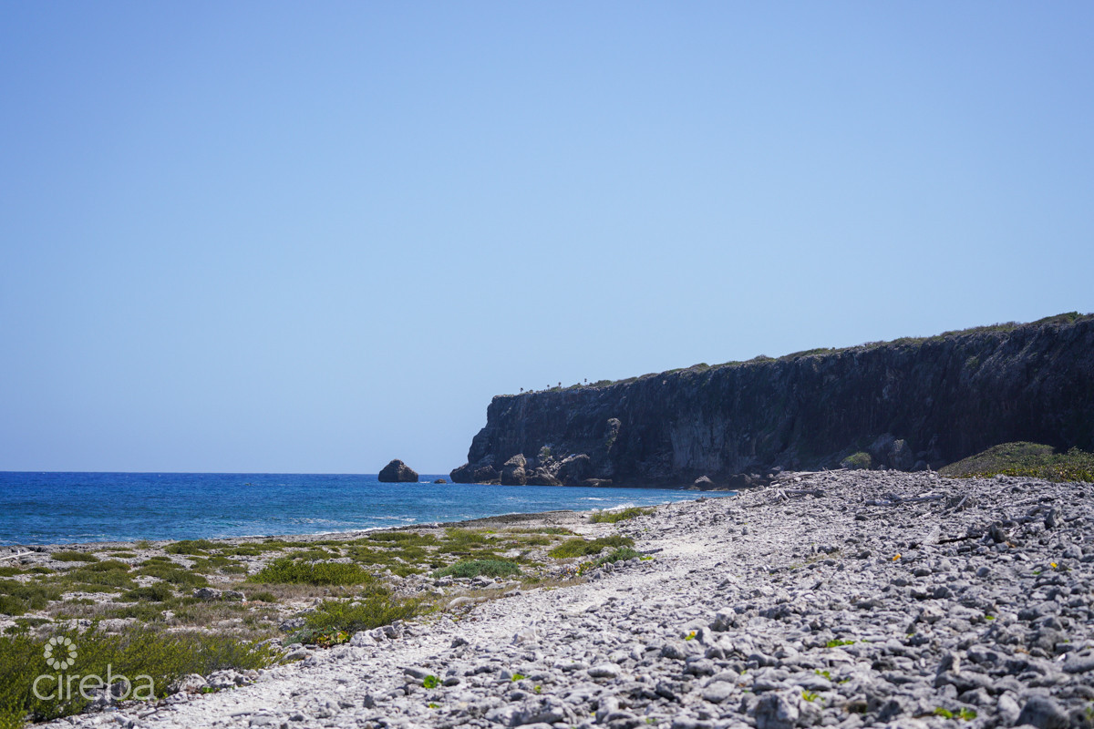 Oceanfront Large Land Parcel