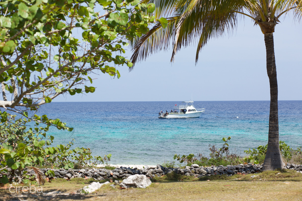 Oceanfront Large Land Parcel