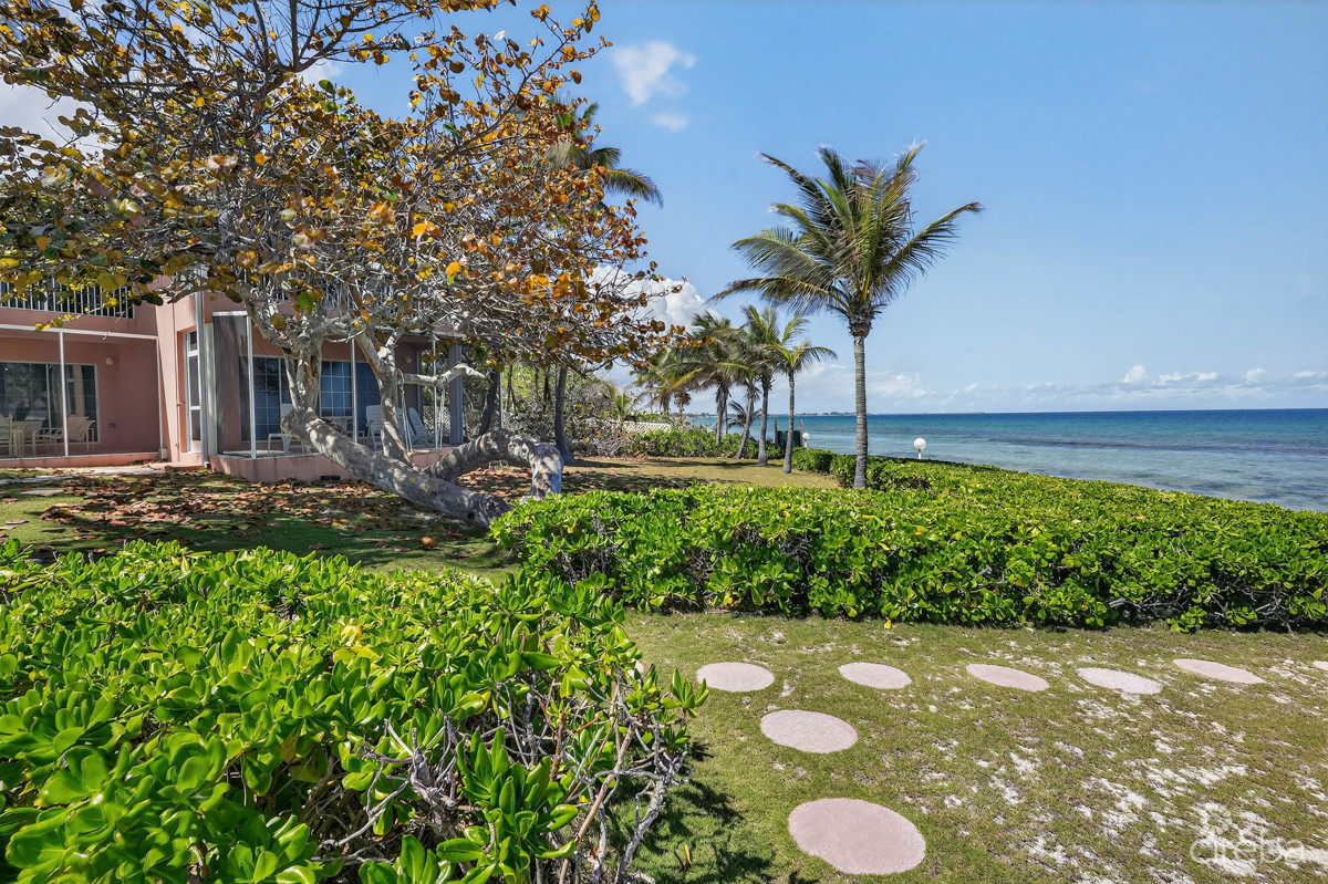 Northern Lights - End Unit