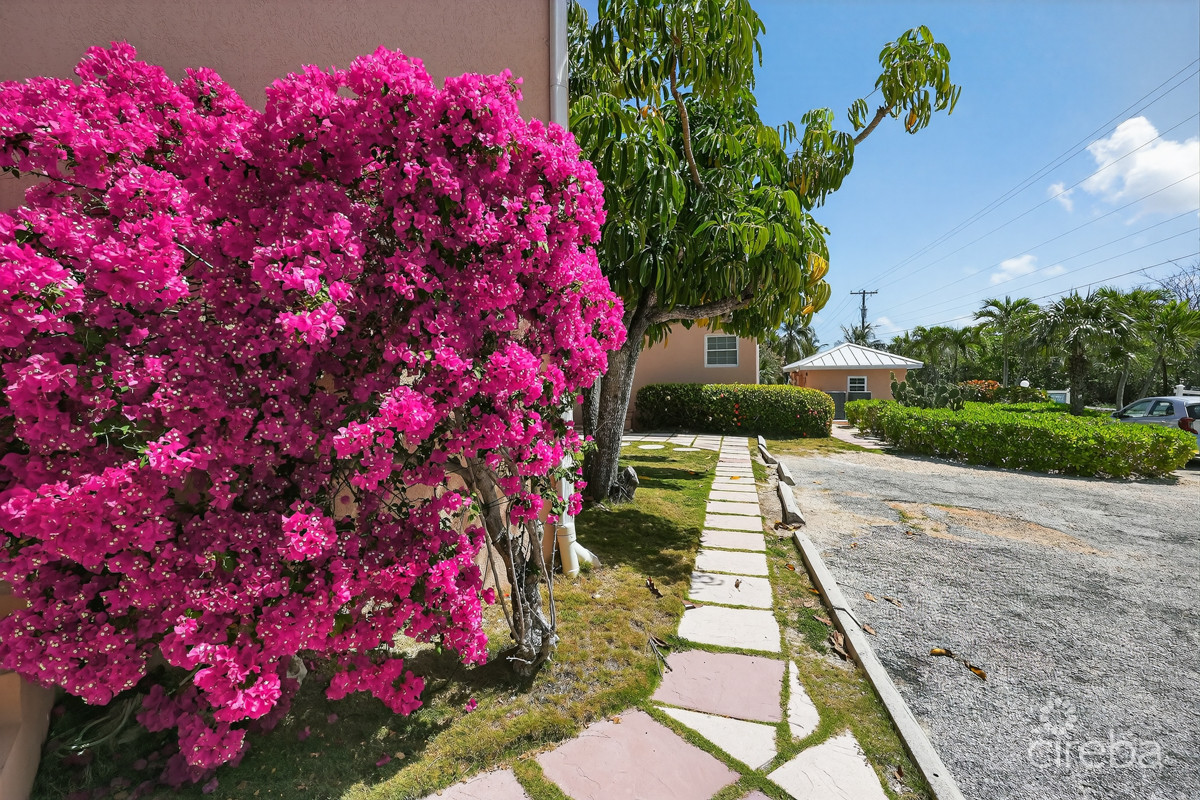 Northern Lights - End Unit