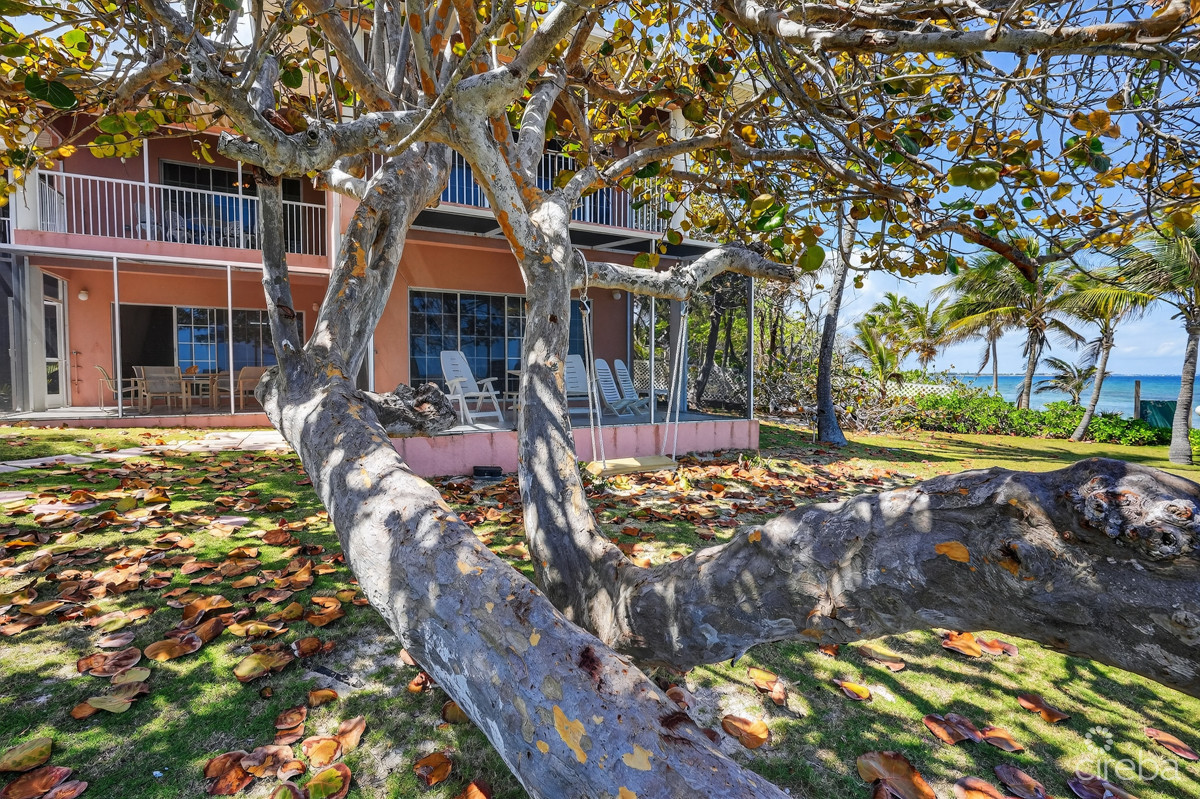 Northern Lights - End Unit