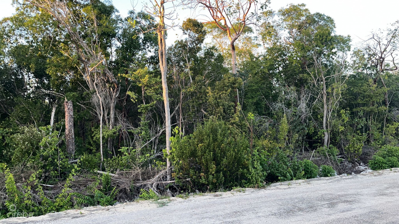 Cayman Brac Central Land