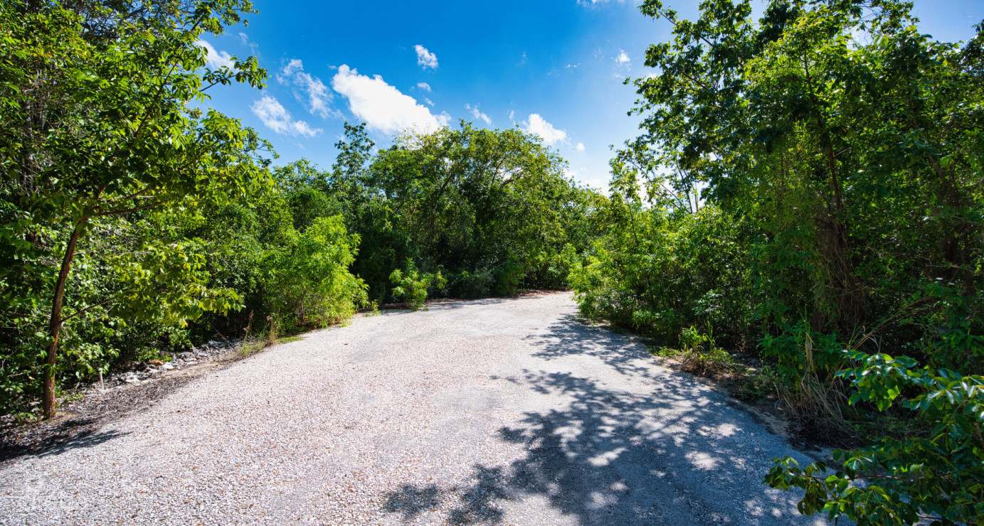 Cayman Brac Inland Parcel - Owner Financing Offered!!