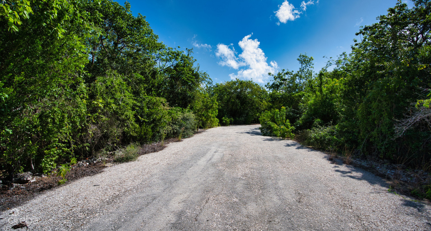 Cayman Brac Inland Parcel - Owner Financing Offered!!