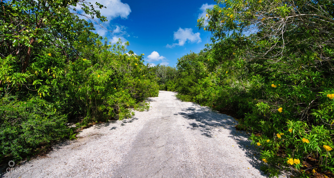 Cayman Brac Inland Parcel - Owner Financing Offered!!