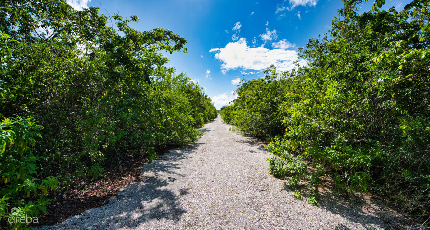 Cayman Brac Inland Parcel - Owner Financing Offered!!