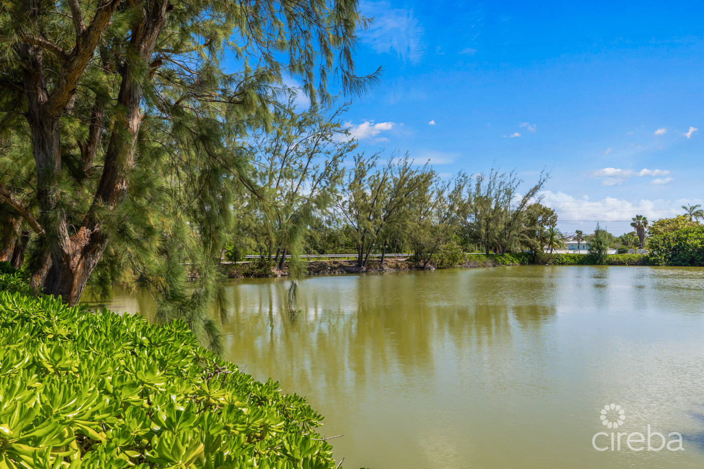 #6 Lakeshore Villas / 2 Bed Plus Den / 3 Bath