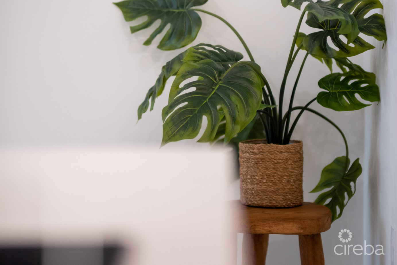 Brand New Arza  1b/1b - $20k Cash Back At Closing!