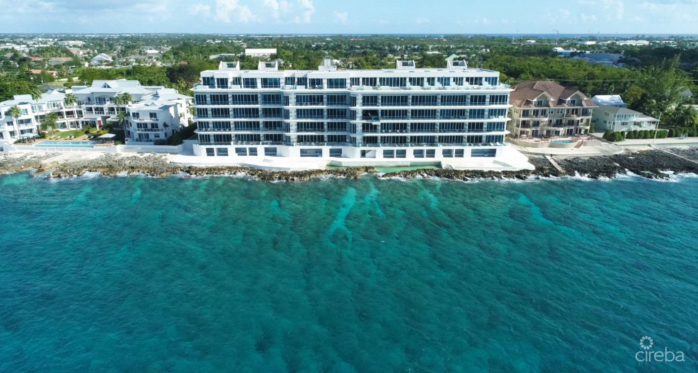 1fin- Single Level Corner Condo With Excellent Layout