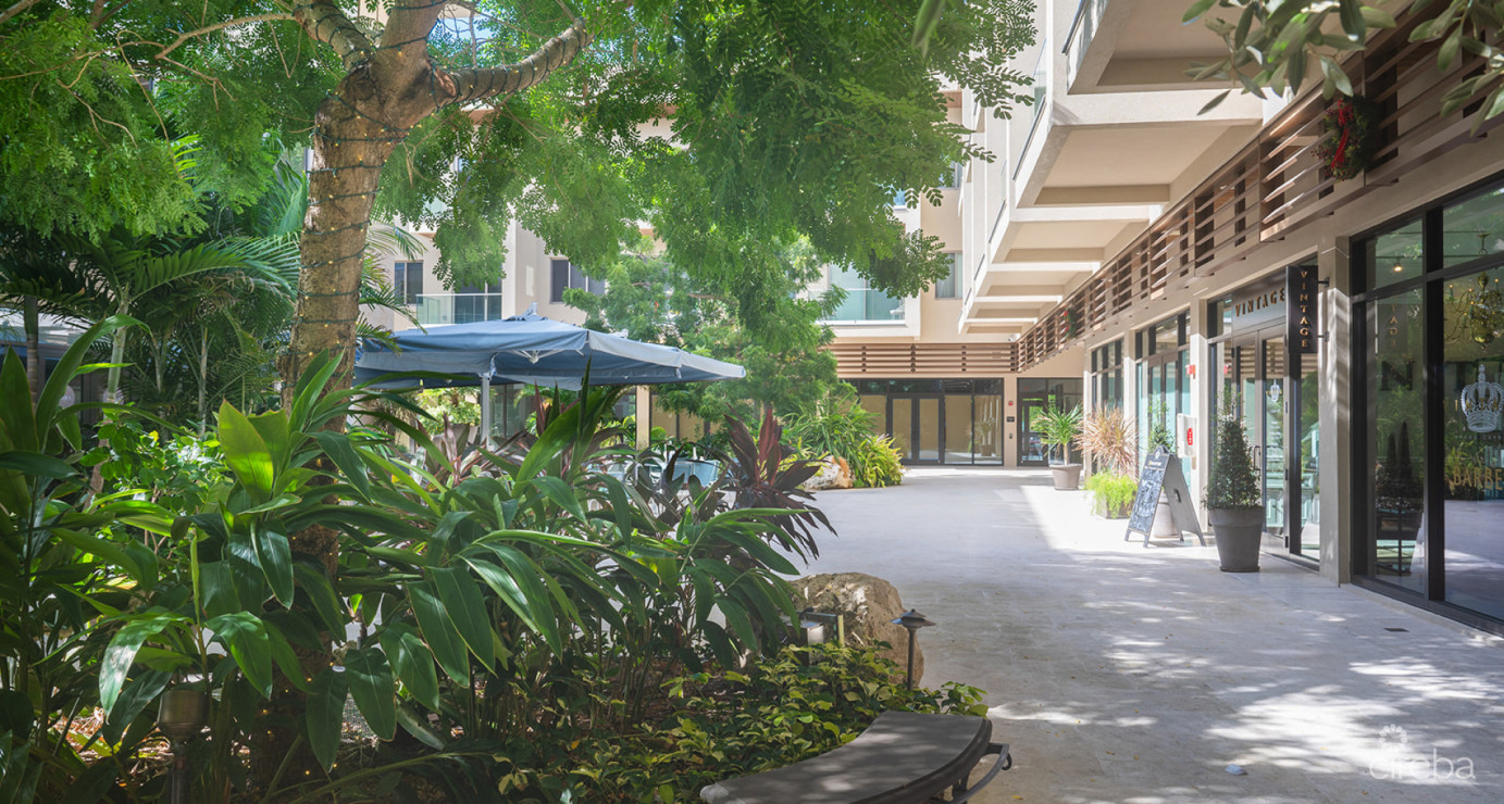 Harbour Walk Residences  Condo 116