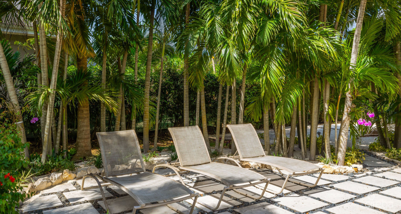 Private Savannah Sanctuary With Resort-style Grounds And Income Potential