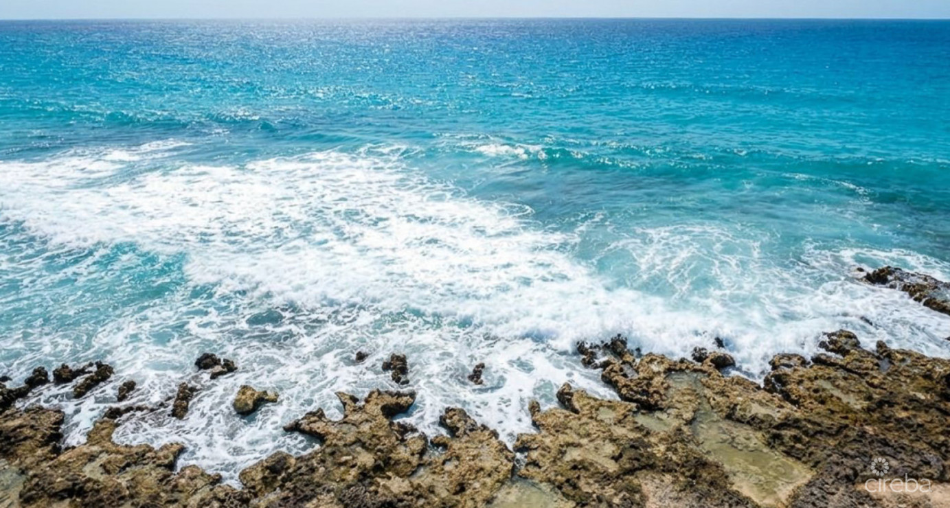 Orchid Cove - Brand New Seafront Residences #12