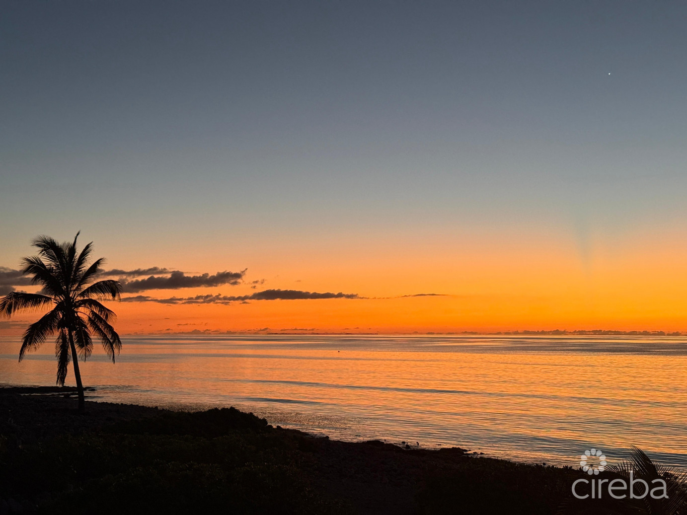 Palm Breezes