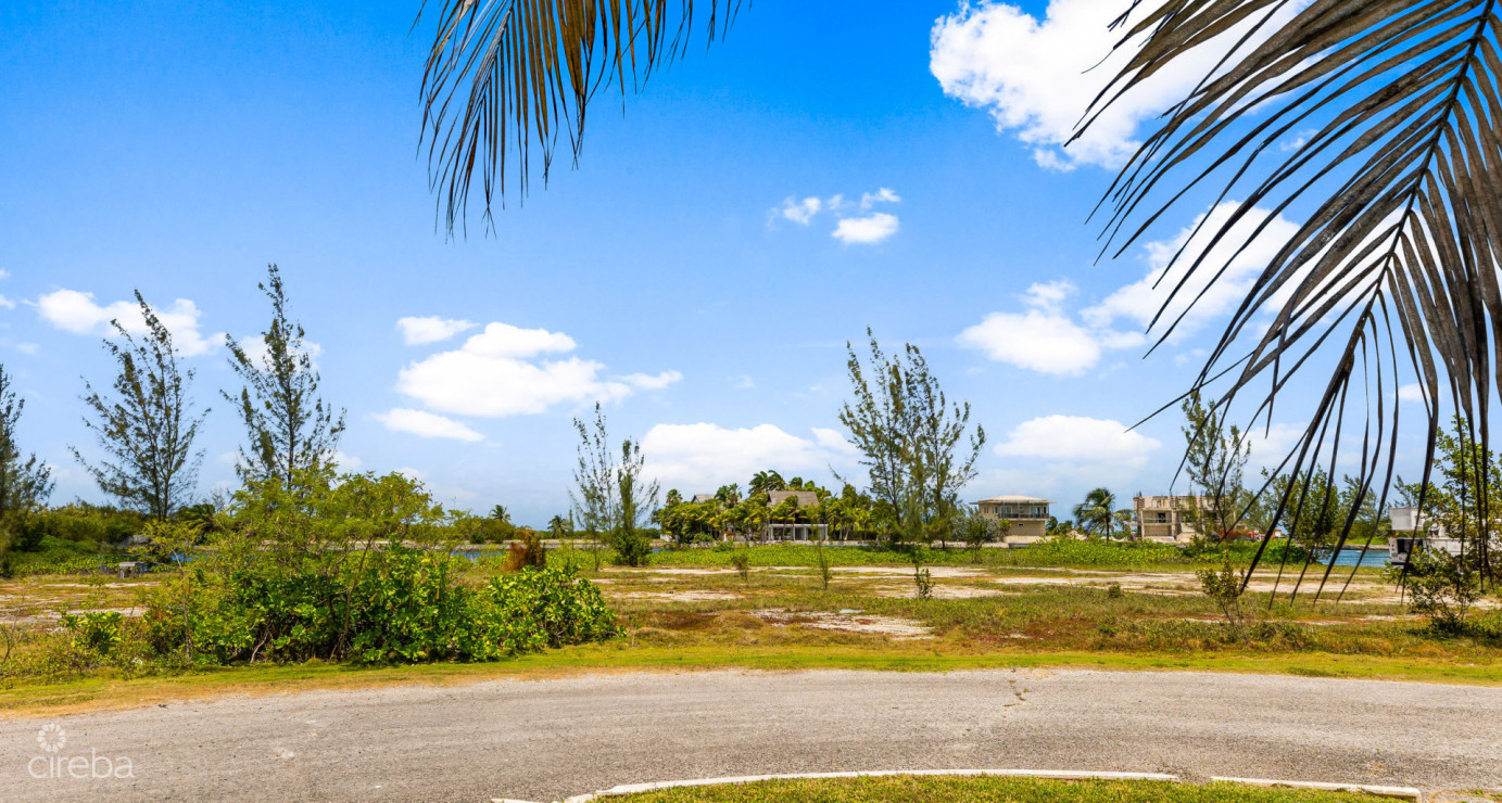 Oversized Estate Lot On Yacht Basin  Mangrove Point