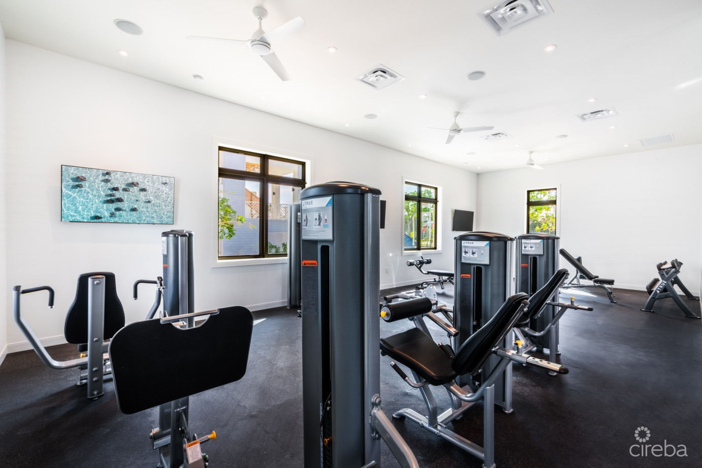 Olea 117, Canal Front Townhome