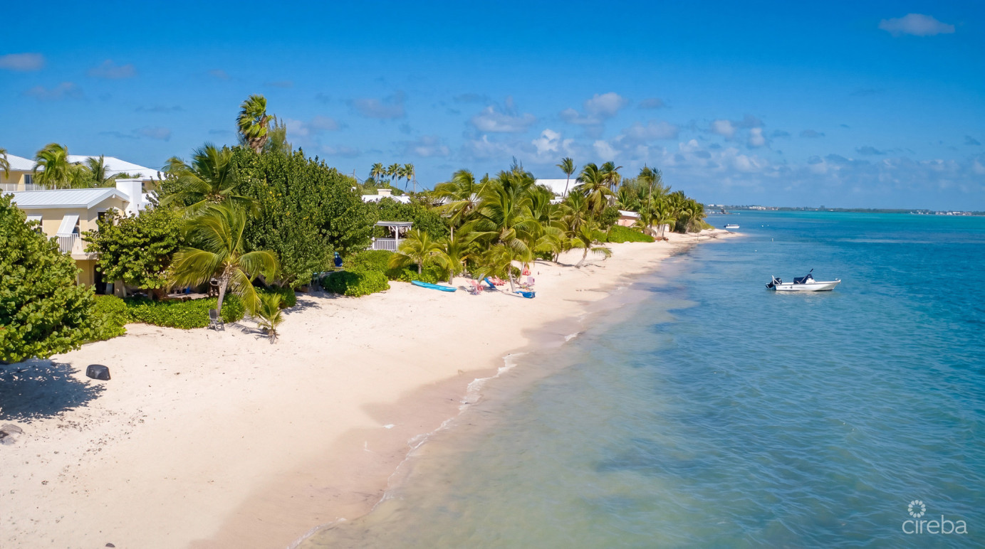 Caribbean Paradise, Beachfront Condo