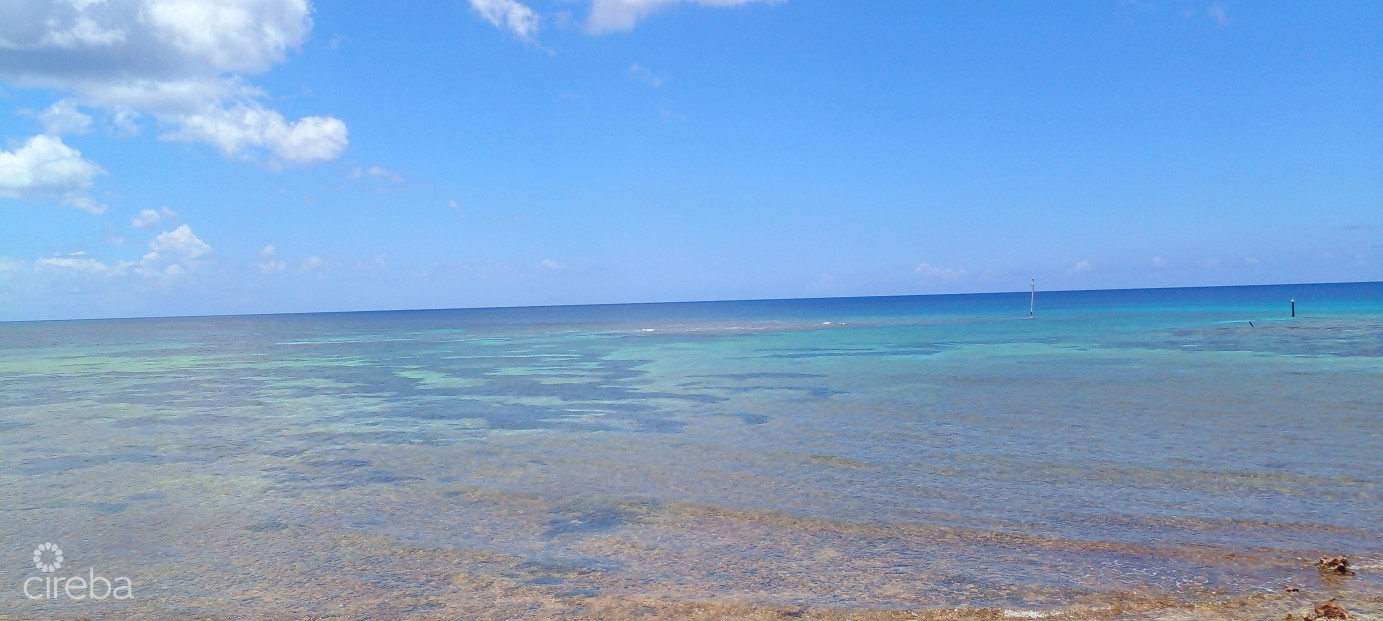 Vida Vistas