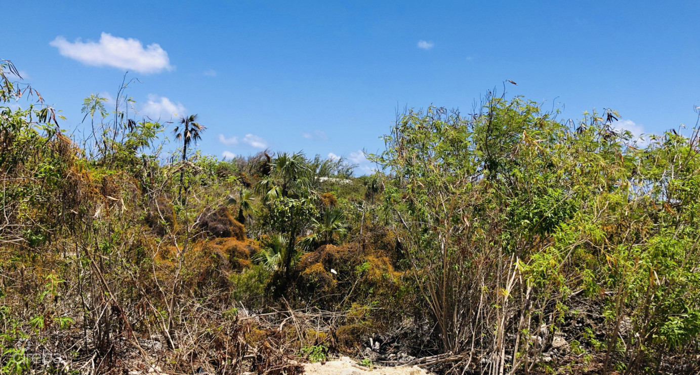 Colliers Duplex Lot - .32 Acres