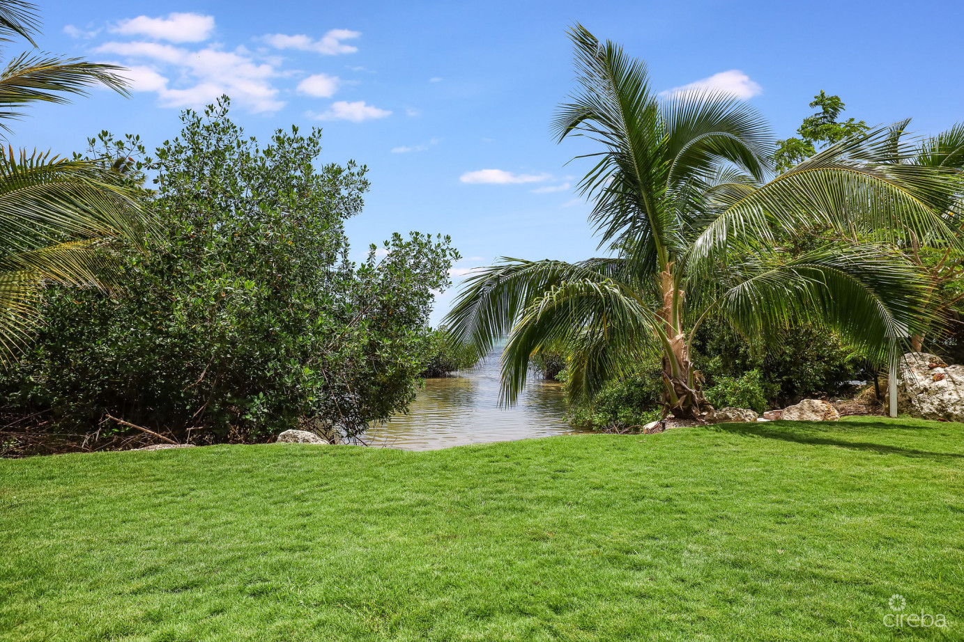 Aura #305 Oceanfront