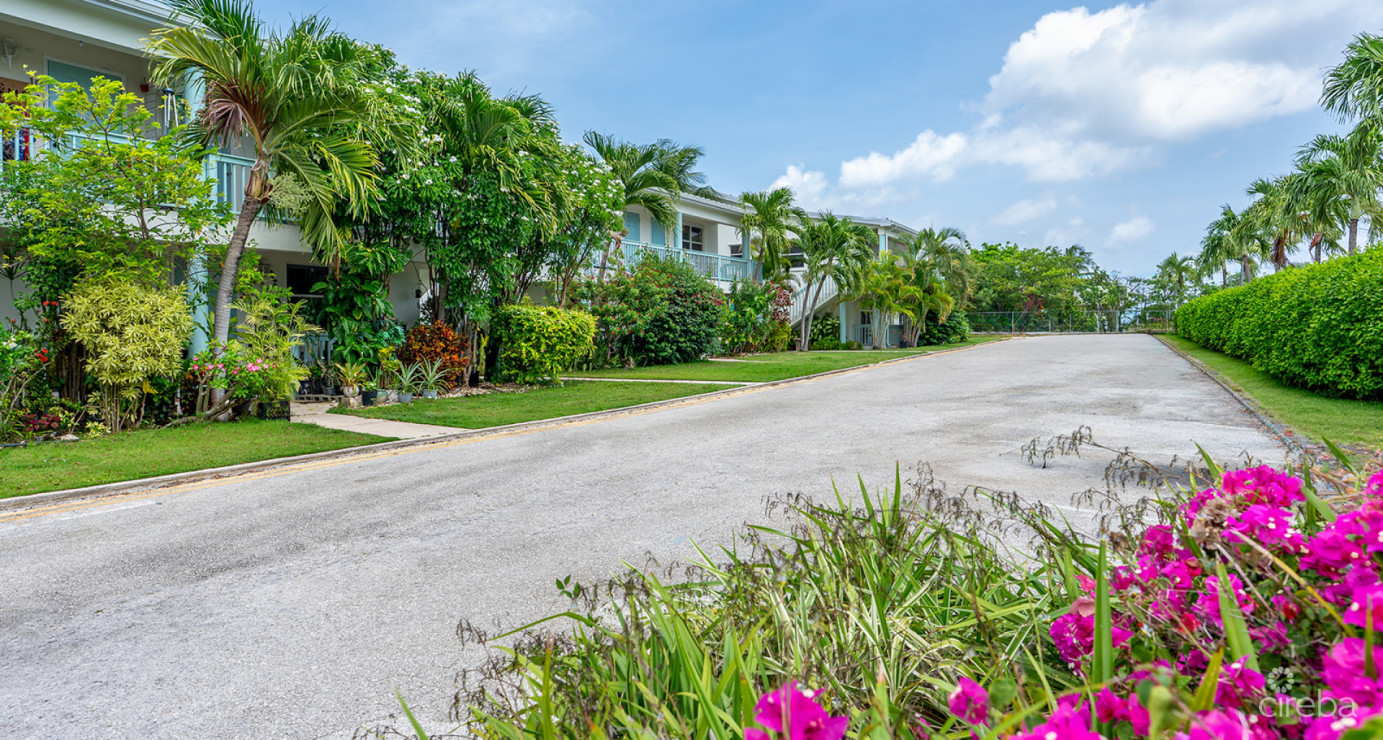 West Palm Condos #18