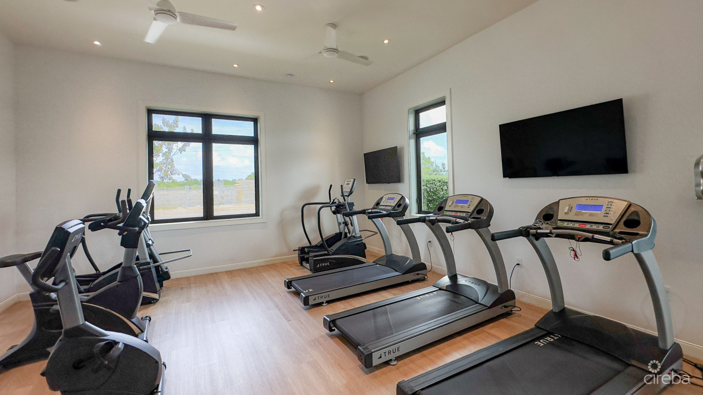 Olea - 1 Bed Condo