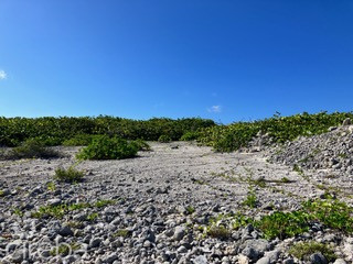 Cayman Brac Northside Beach Front Land