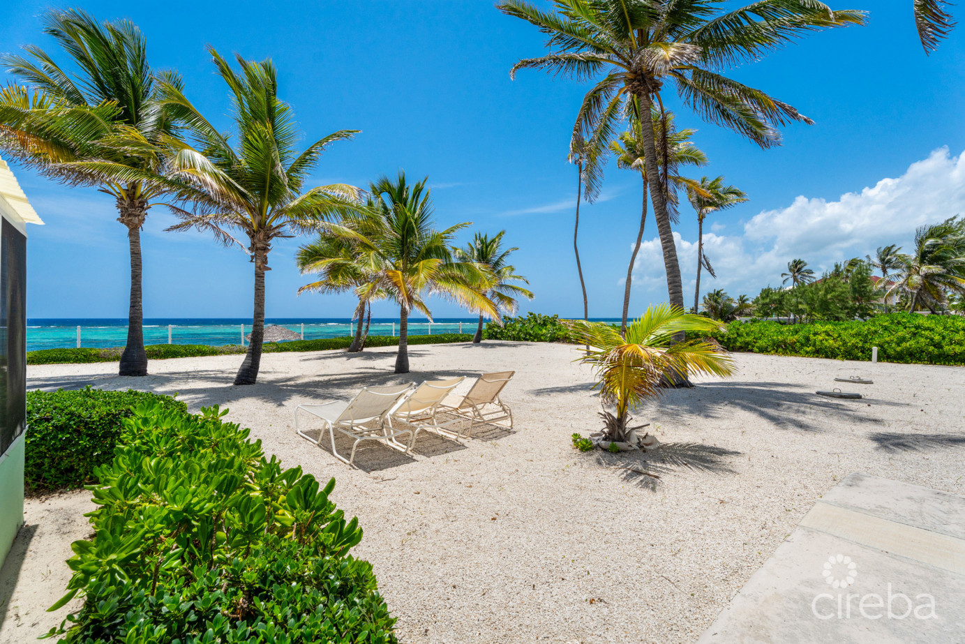 Cayman Kai Sea Lodge #13 Beachfront Condo With Impressive Rental History