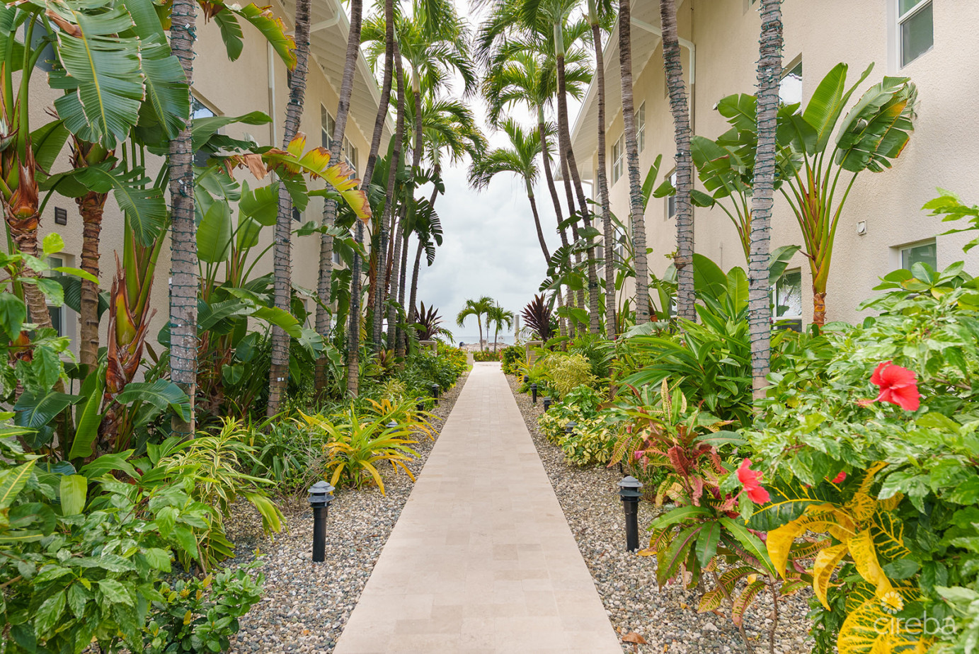 Renovated Penthouse Discovery Point Club