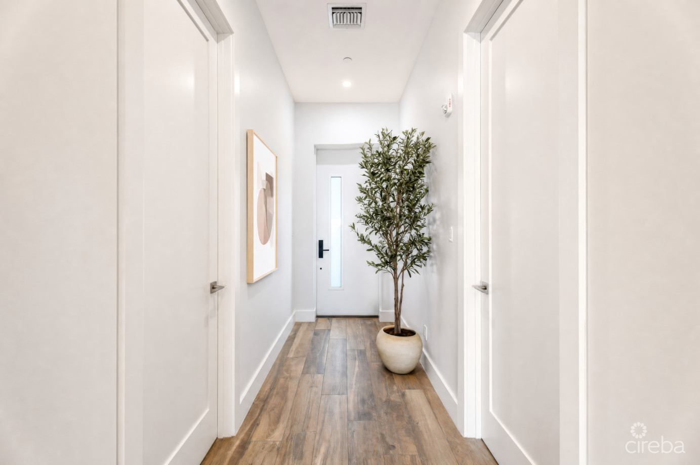 Aura Penthouse #404