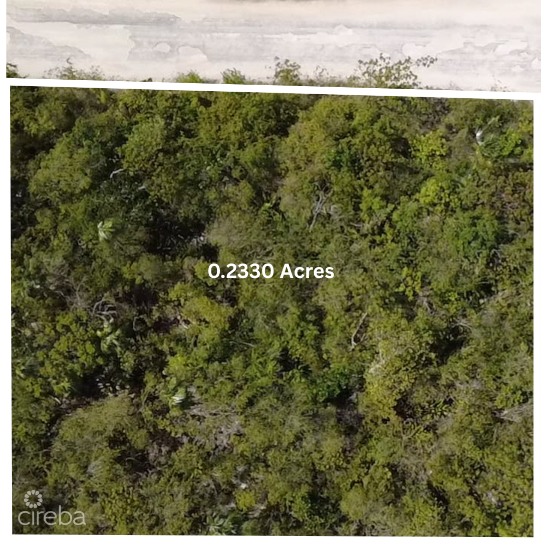 0.23 Acres House Lot Located Near Colliers Beach