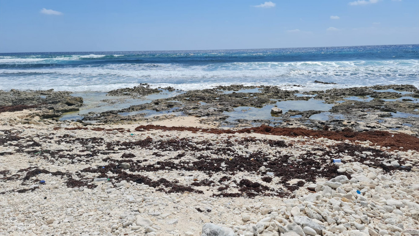 Cayman Brac East Oceanfront 1.25 Acres
