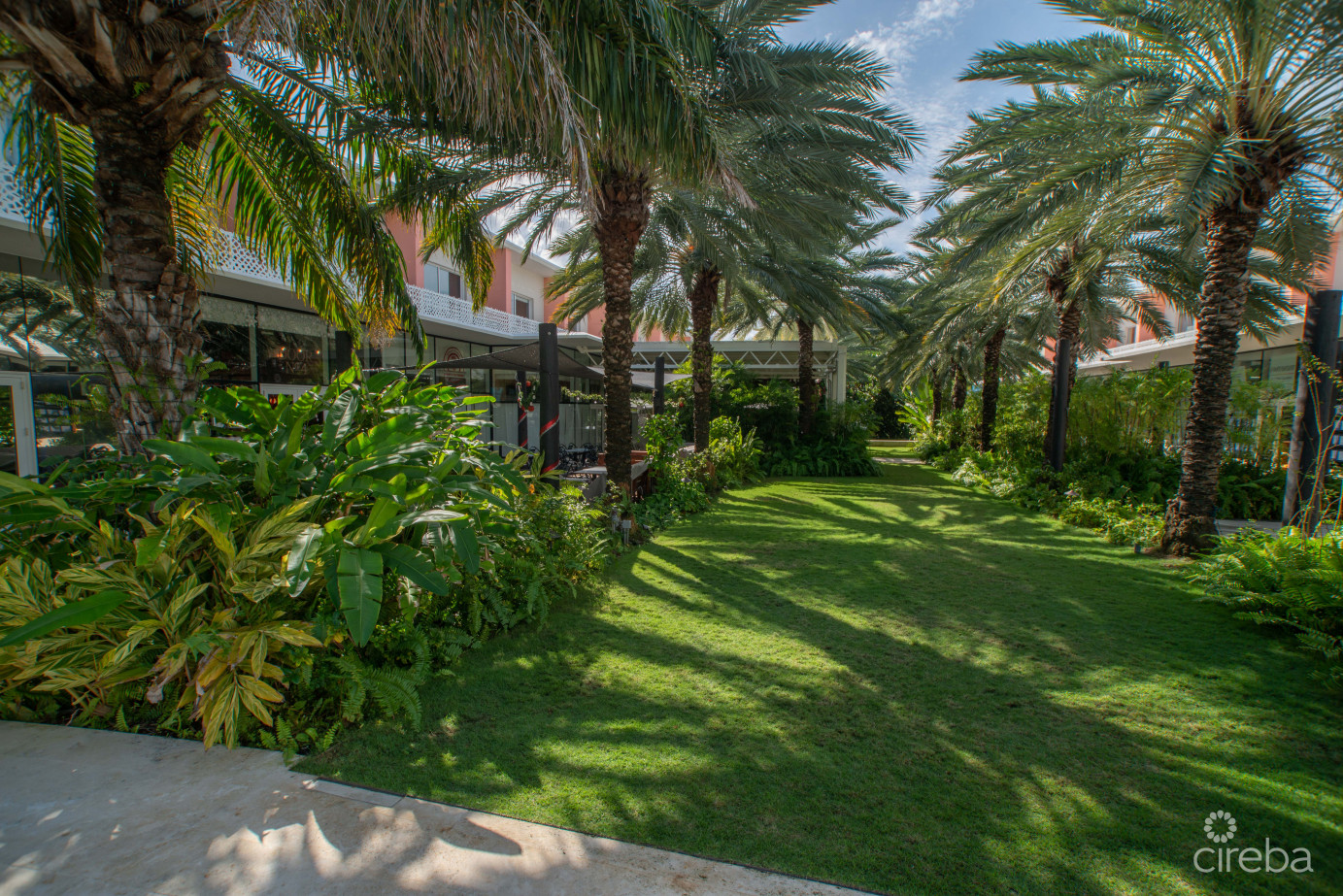 Villa Zen  Contemporary Island Living At The Grove