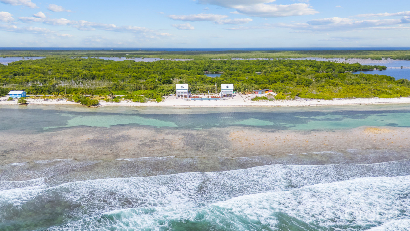 The Palms, Little Cayman  Beachfront Cottage 1