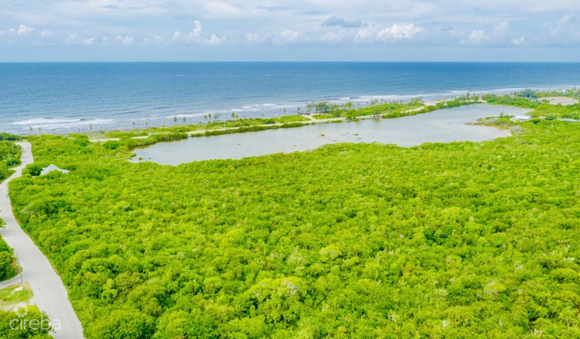 Alexander Grove Subdivision - Cayman Brac - Pond Lot 4