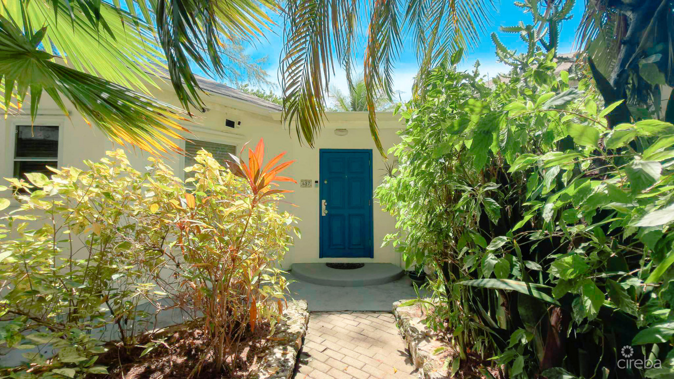 Villa Adel Oceanfront Home