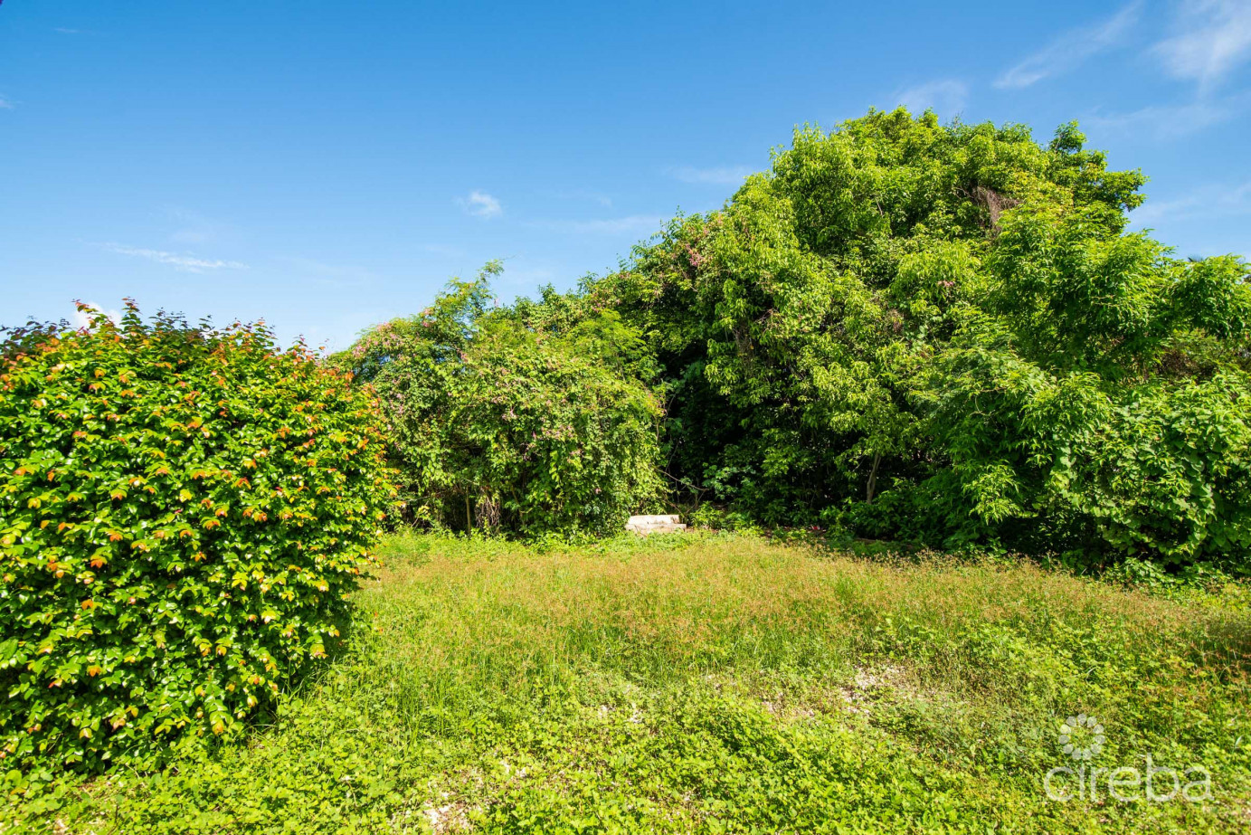 Prime West Bay Development Opportunity | 0.84 Acres