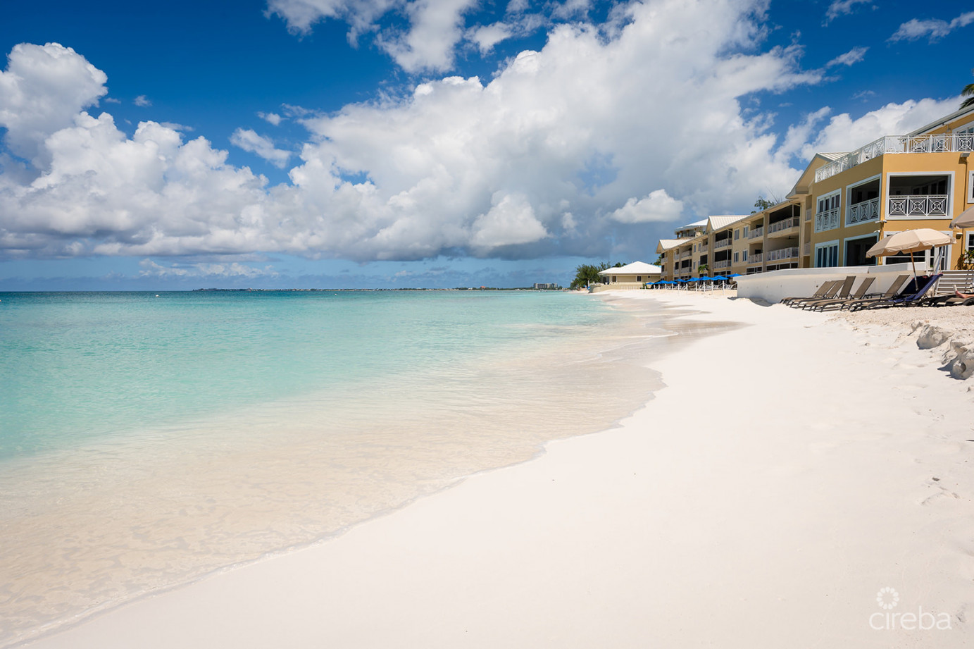 Regal Beach Club #124
