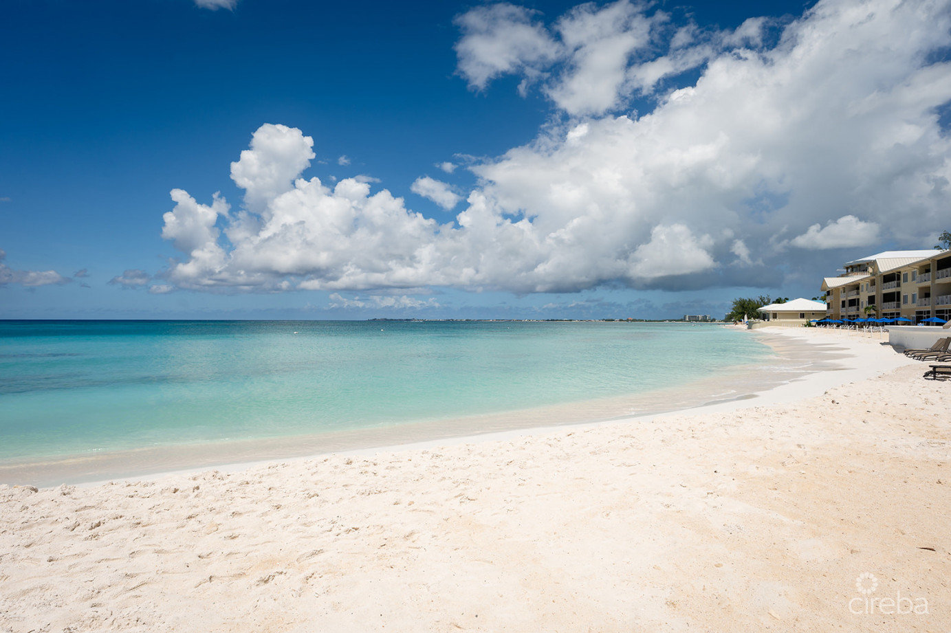 Regal Beach Club #124
