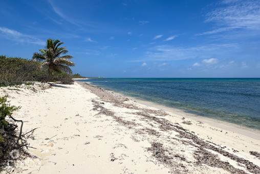 Ocean Front Land Little Cayman